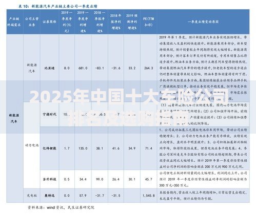 2025年中国十大车险公司排名及选购指南