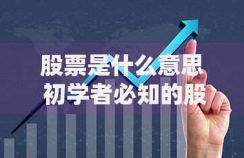 股票是什么意思 初学者必知的股票基本概念与投资入门指南 股票是什么意思 初学者必知的股票基本概念与投资入门指南