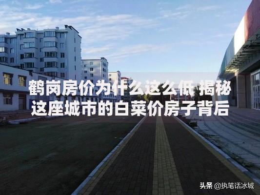 鹤岗房价为什么这么低 揭秘这座城市的白菜价房子背后真实原因