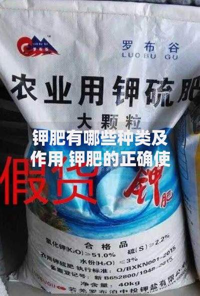 钾肥有哪些种类及作用 钾肥的正确使用方法全解析