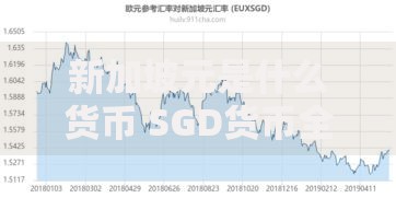 新加坡元是什么货币 SGD货币全称及汇率解析