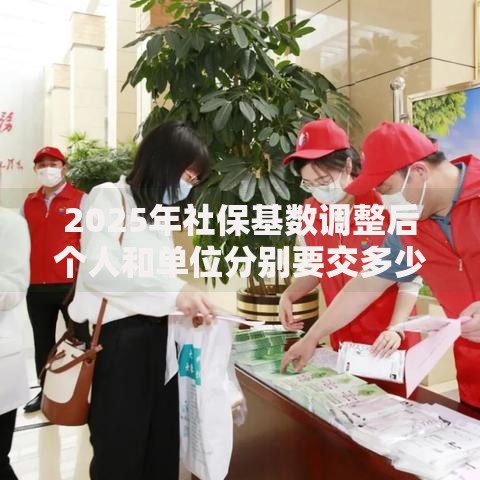 2025年社保基数调整后个人和单位分别要交多少钱