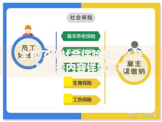 全面了解社会保险是什么及其涵盖内容详细解析