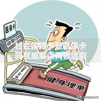 社会保障卡是医保卡吗权威解读两者区别与联系