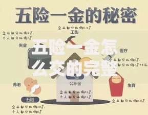 五险一金怎么交的完整缴纳步骤比例实用指南
