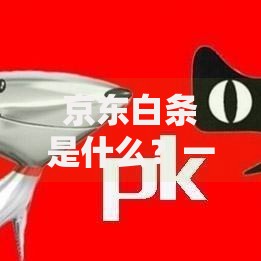 京东白条是什么？一文详解白条开通使用全攻略