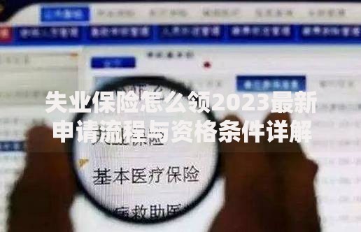 失业保险怎么领2023最新申请流程与资格条件详解