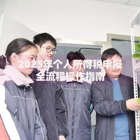 2025年个人所得税申报全流程操作指南