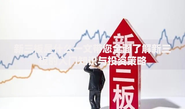 新三板是什么一文带您全面了解新三板的入门知识与投资策略