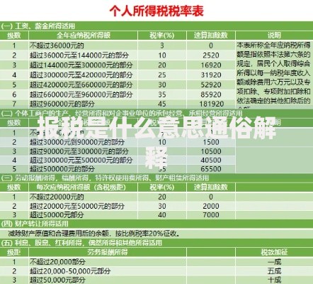 报税是什么意思通俗解释