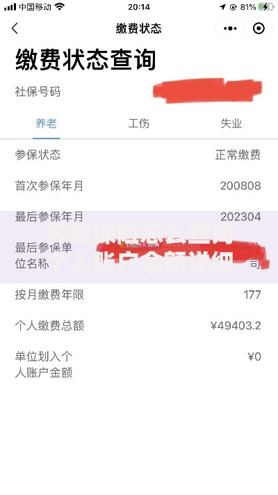 养老保险怎么查询个人账户余额详细步骤