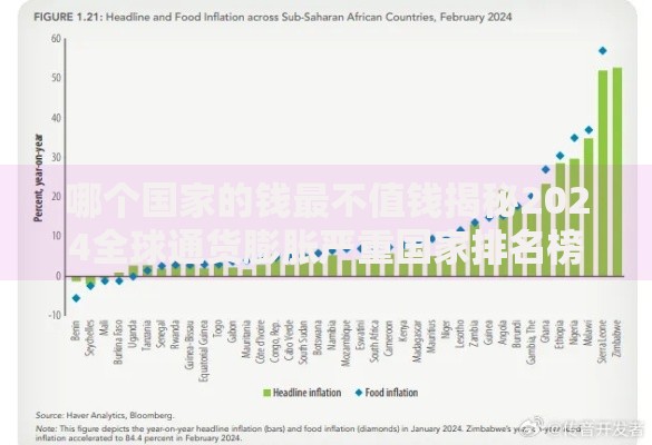 哪个国家的钱最不值钱揭秘2024全球通货膨胀严重国家排名榜单
