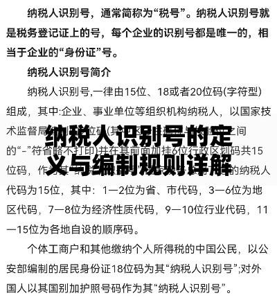 纳税人识别号的定义与编制规则详解
