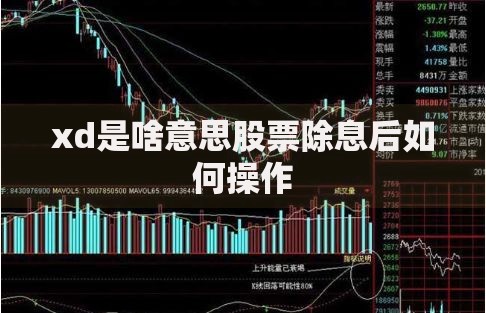 xd是啥意思股票除息后如何操作