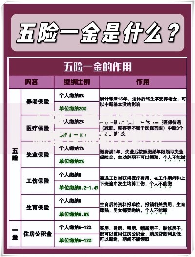 五险一金具体包含哪些保险和公积金项目