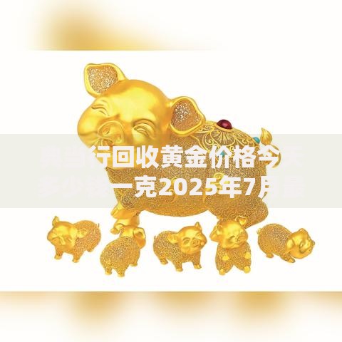 典当行回收黄金价格今天多少钱一克2025年7月最新报价