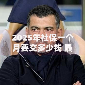 2025年社保一个月要交多少钱 最新个人和企业缴费标准及计算方法