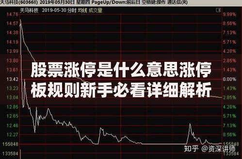 股票涨停是什么意思涨停板规则新手必看详细解析指南