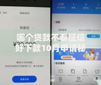 哪个贷款不看征信好下款10月申请秘籍！顺道筛选5个借钱不看征信平台好下款