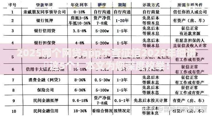 2025哪个网贷app不查征信2025年细讲​这5个！本文为您深度枚举！