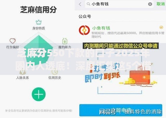 芝麻分550下款的口子2025年圈内人透底！深度汇集这5个借款550可用的app