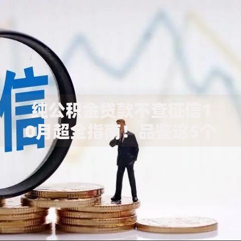 纯公积金贷款不查征信10月超全指南！品鉴这5个黑户小额七天贷款