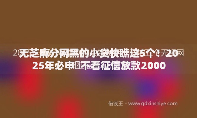 无芝麻分网黑的小贷快瞧这5个！2025年必申​不看征信放款2000