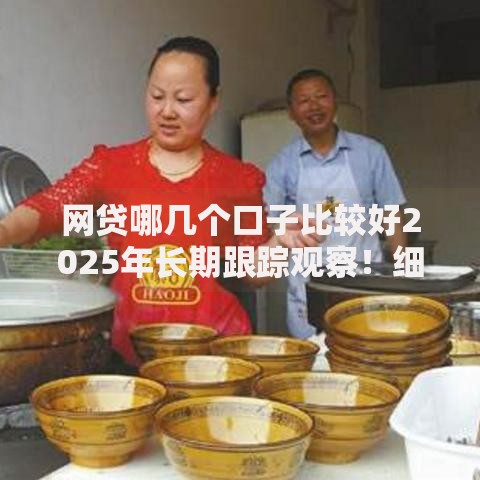 网贷哪几个口子比较好2025年长期跟踪观察！细说这五个贷款平台软件比较容易借钱