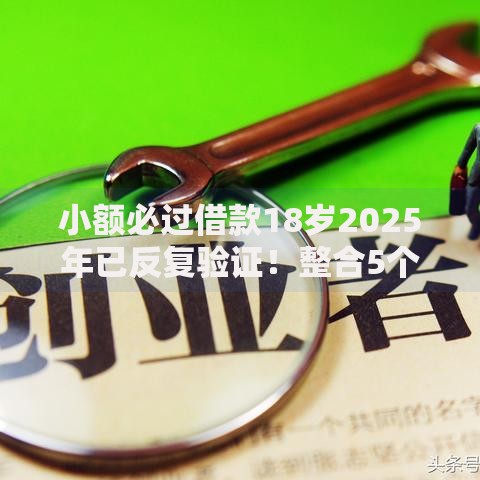 小额必过借款18岁2025年已反复验证！整合5个小额必过贷款18岁软件