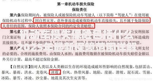 机动车损失保险包括什么2025年最新保障范围详解车损险必看指南