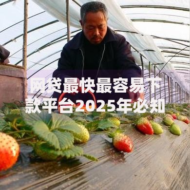 网贷最快最容易下款平台2025年必知短期知识点！甄选这五个借钱最快最容易的口子