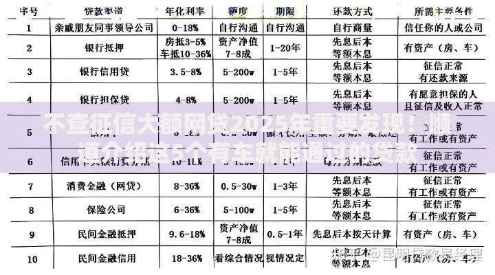 不查征信大额网贷2025年重要发现！顺道介绍这5个有车就能通过的贷款