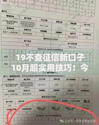 19不查征信新口子10月超实用技巧！今日整理5个19不查征信的网贷软件借钱