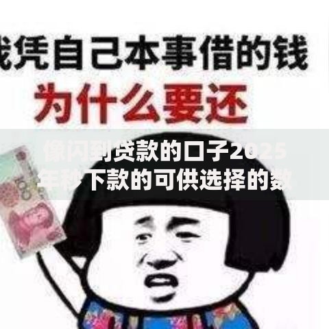 像闪到贷款的口子2025年秒下款的可供选择的数量足！今天深度解读这5个黑户贷款平台！