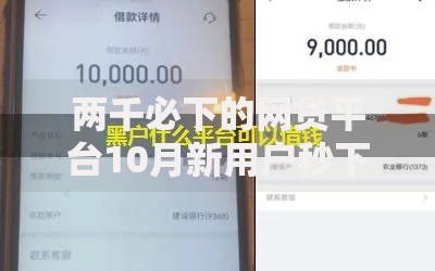 两千必下的网贷平台10月新用户秒下的能挑的确实不少！本文隆重汇聚​这五个黑户借钱软件！