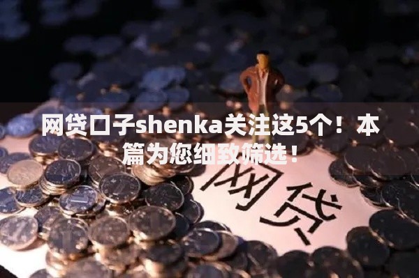 网贷口子shenka关注这5个！本篇为您细致筛选！