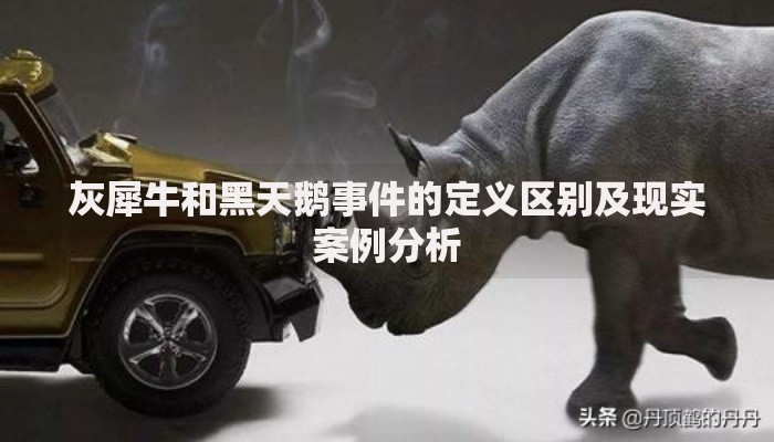 灰犀牛和黑天鹅事件的定义区别及现实案例分析