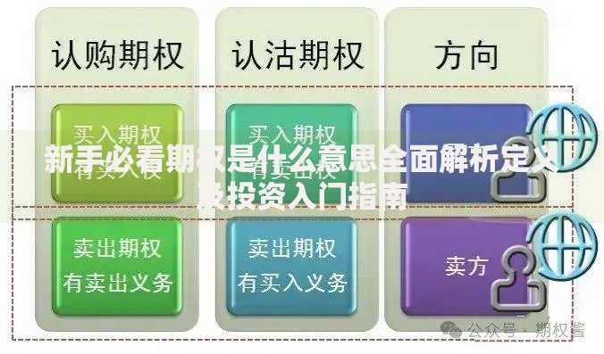 新手必看期权是什么意思全面解析定义及投资入门指南