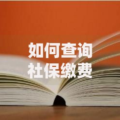 如何查询社保缴费记录和年限2025最新方法