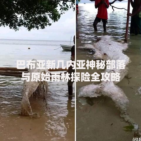 巴布亚新几内亚神秘部落与原始雨林探险全攻略