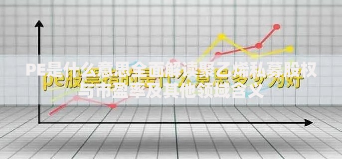 PE是什么意思全面解读聚乙烯私募股权与市盈率及其他领域含义