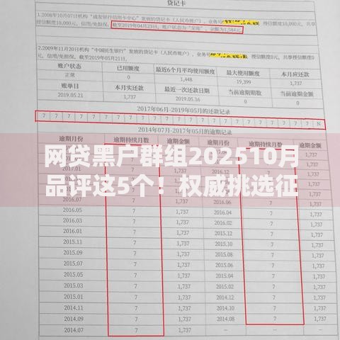 网贷黑户群组202510月品评这5个！权威挑选征信不好容易下的贷款
