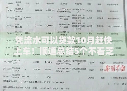 凭流水可以贷款10月赶快上车！顺道总结5个不看芝麻下款
