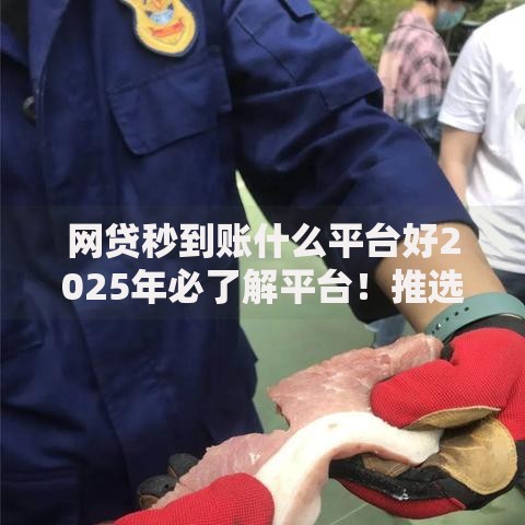 网贷秒到账什么平台好2025年必了解平台！推选​这五个贷款秒到账的口子软件好