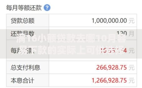 满16小额贷款去哪10月容易下款的实际上可供选择的不少！今天全面推选这五个黑户借款软件！