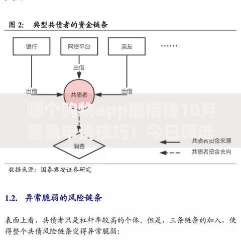哪个购物app能借钱10月紧急申请技巧！今日筛选这5个购物平台能提供网贷服务