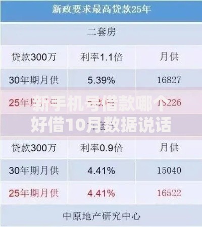 新手机号借款哪个好借10月数据说话！本篇为您全面公布！