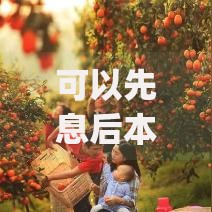 可以先息后本的借钱app2025年通过率揭秘！本篇解读贷融借条以及玖柚秒下等五个贷款app