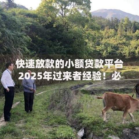 快速放款的小额贷款平台2025年过来者经验！必看网贷软件借钱快速放款