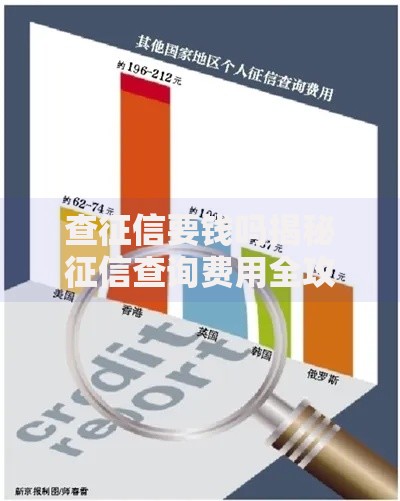 查征信要钱吗揭秘征信查询费用全攻略